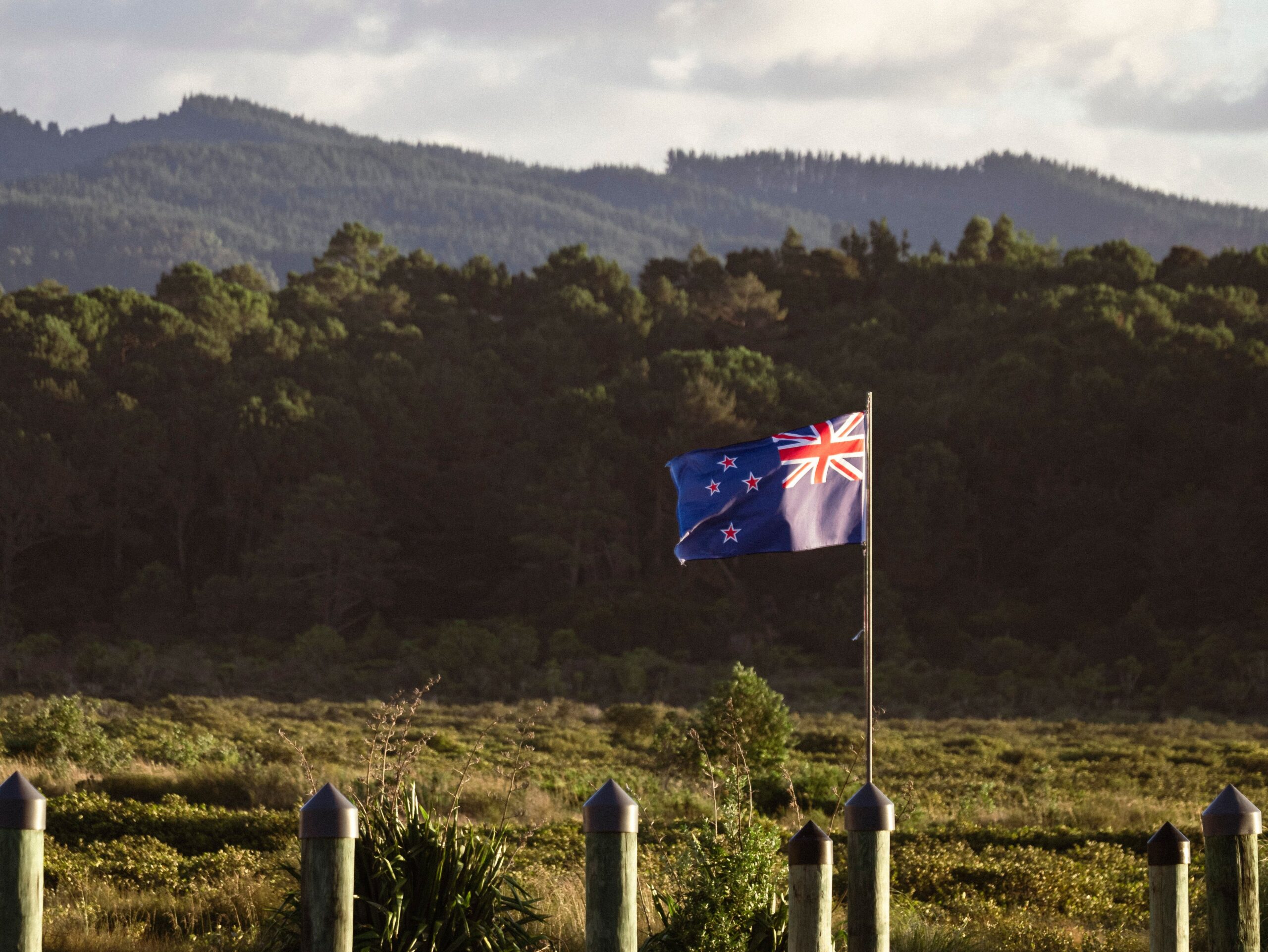 Intern Visa NZ: Complete Guide for African Students and Graduates Seeking Internship Opportunities in New Zealand